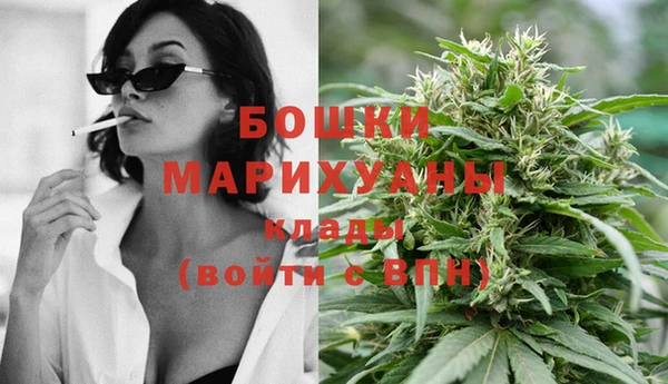 дживик Аркадак