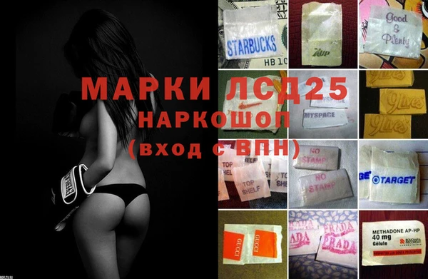дживик Аркадак