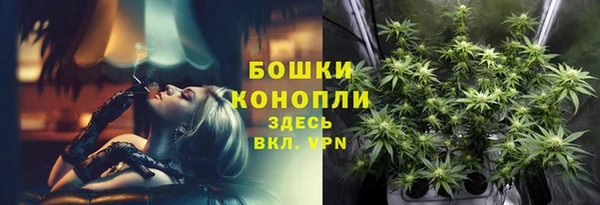 СК Арсеньев