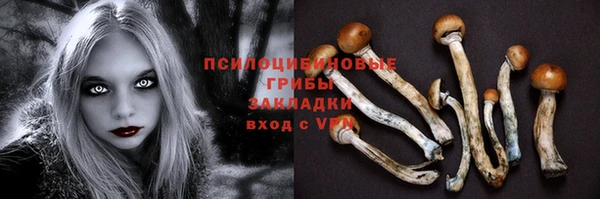 мет Армянск