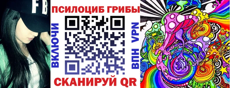 Купить где  Любим  Галлюциногенные грибы Psilocybe 